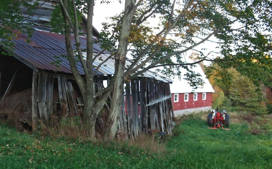 Original barn structures